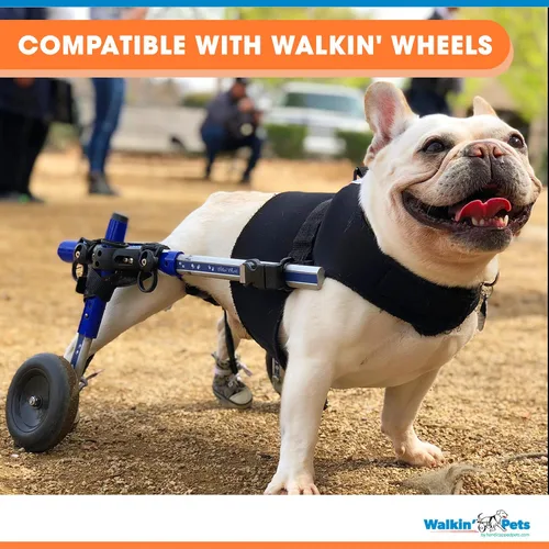 Miniatura 6 de Arnés delantero para perro Arnés sin tirones Diseñado para perros pequeños con pechos anchos Compatible con silla de ruedas para perros