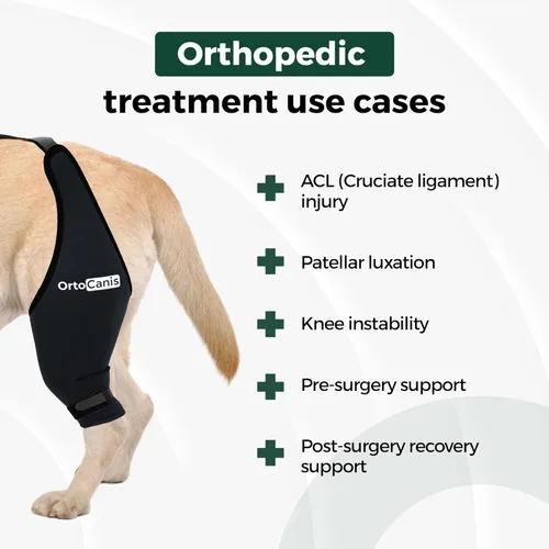 Miniatura 3 de Ortocanis Rodillera para Perro para Desgarro de LCA en Pata Trasera, Lesiones de Ligamento Cruzado, Dislocación de Rótula u Osteoartritis
