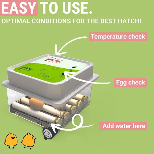 Miniatura 2 de OBI-12 Incubadoras de huevos para incubar huevos - Incubadora para 12 huevos con girador automático de huevos - Incubadora para huevos de gallina