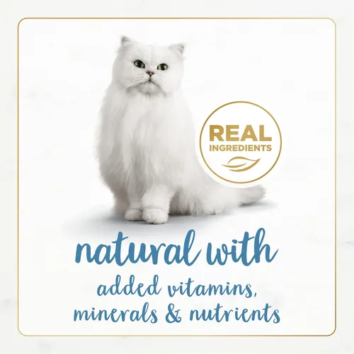 Miniatura 3 de Purina Fancy Feast Gourmet Naturals - Alimento húmedo en paté para gatos, sin cereales, receta de trucha y atún (paquete de 12 unidades) latas de 3