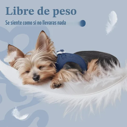 Miniatura 4 de rabbitgoo Arnés para perro pequeño, chaleco de malla suave para cachorros con hebilla de seguridad, arnés reflectante transpirable para mascotas