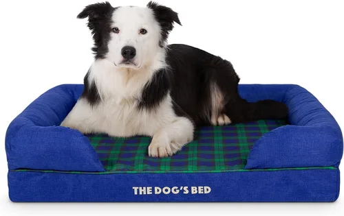 Miniatura 66 de The Dog's Bed - Cama ortopédica de espuma viscoelástica para perros medianos, colchón de soporte de alta densidad, entrada frontal baja, funda negro