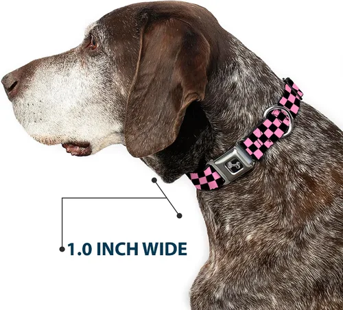 Miniatura 6 de Collar de perro Buckle-Down Checker negro/rosa bebé, multicolor, "1" ancho - se adapta a cuello de 9-15" - pequeño
