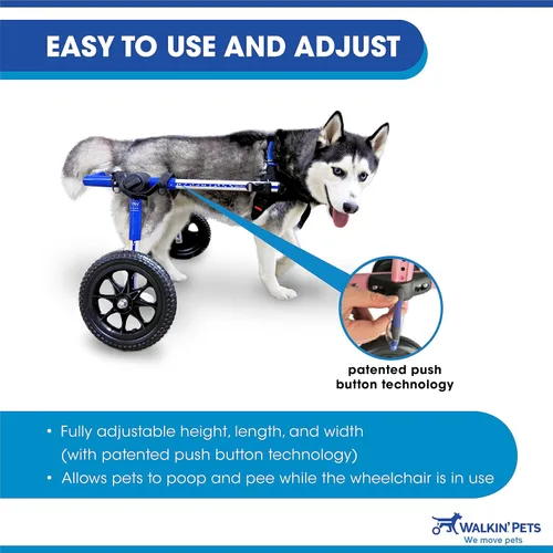 Miniatura 6 de Walkin' Wheels Silla de ruedas para perros, para perros medianos y grandes, de 50 a 69 libras, aprobada por veterinarios, silla de ruedas para Azul