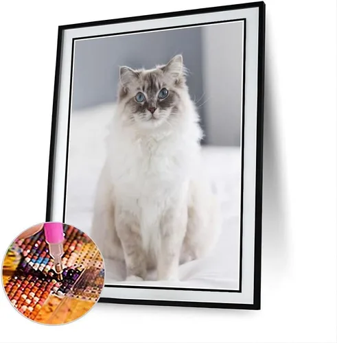 Ragdoll - Kit de pintura de diamantes para adultos, 5D con diseño de animales, para mascotas, kit de pintura de diamante, arte bordado, decoración