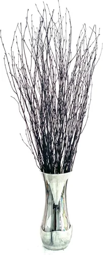 Miniatura 11 de ECOVENIK 25 piezas – Ramas – 28.7 in, ramitas de abedul natural, paquete de 20-25 tallos, largo para jarrones de suelo, (color marrón natural)