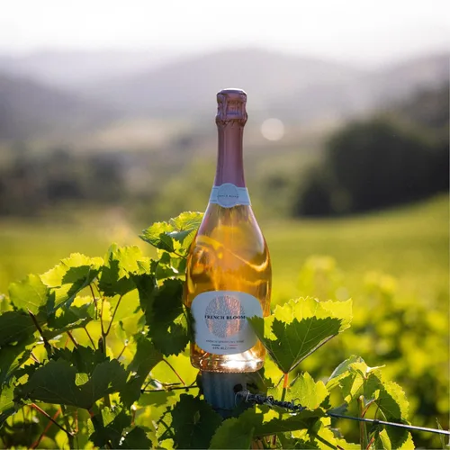 Miniatura 6 de French Bloom Le Rosé, Vino espumoso 0.0% sin alcohol, 25.4 fl oz, certificado orgánico, vegano, bajo en calorías, apto para embarazo, sin sulfitos