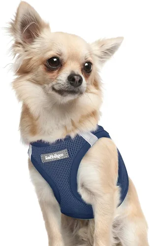 Miniatura 72 de rabbitgoo Arnés para perro pequeño, chaleco de malla suave para cachorros con hebilla de seguridad, arnés reflectante transpirable para mascotas