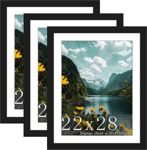 Miniatura 24 de Picrit Paquete de 3 portarretratos de 20 x 20 pulgadas, póster de 16 x 16 pulgadas con paspartú o de 20 x 20 pulgadas sin paspartú para montaje