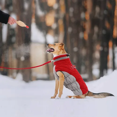 Miniatura 5 de Lelepet Abrigo cálido para perro, abrigo de invierno para perro, chaqueta impermeable para perros con arnés integrado reflectante para mascotas, Rojo