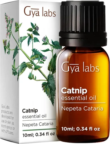 Miniatura 81 de Gya Labs - Aceite esencial de café para relajar y mejorar el estado de ánimo, aceite de café natural para el cuidado de la piel, 100 % puro
