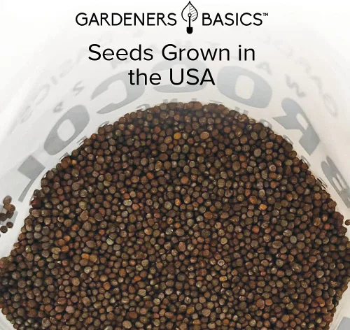 Miniatura 5 de Gardeners Basics, Kit de semillas de brócoli para germinación y microverdes sin OMG, bolsa de brotes resellables a granel de 1 libra