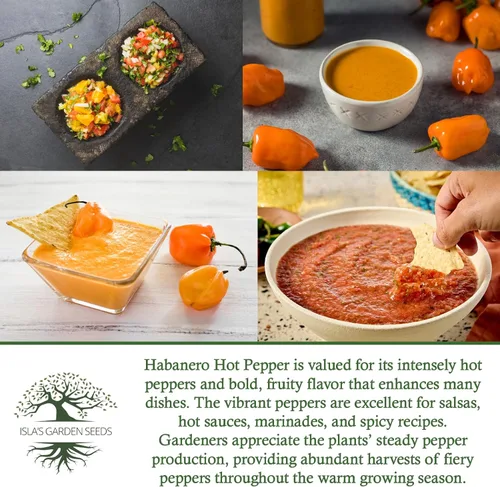 Miniatura 6 de Semillas de habañero para plantar, más de 25 semillas tradicionales por paquete, pimiento picante y picante, semillas de jardín de Isla