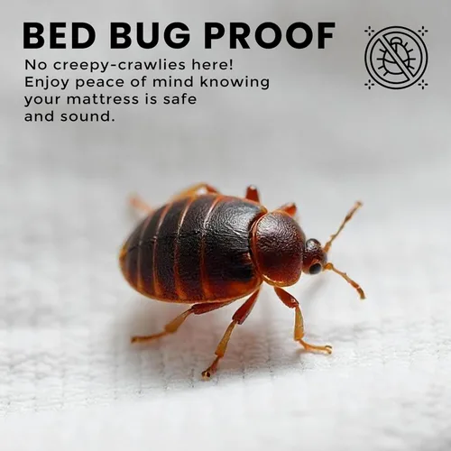 Miniatura 4 de Utopia Bedding - Funda para colchón box spring a prueba de chinches