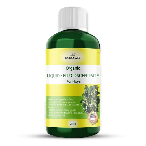 Miniatura 46 de GARDENWISE Fertilizante orgánico prémium de anturio de algas marinas – Alimento líquido para plantas de algas marinas – Potenciador de suelo rico