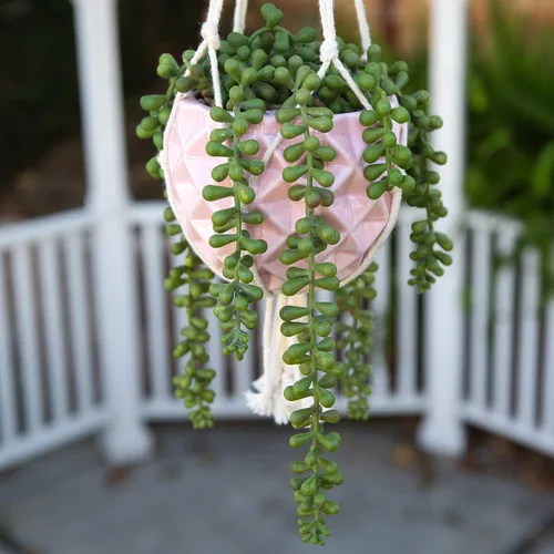 Miniatura 4 de Flora Bunda Maceta colgante para suculentas de 5 pulgadas de cerámica macramé rosa brillante