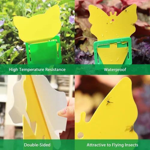 Miniatura 3 de 30 trampas amarillas para moscas de la fruta para interiores, trampas adhesivas para mosquitos de hongos para plantas, trampas de mosquitos