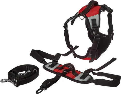 Miniatura 7 de Correa para perro Lift and Go, pequeña, color rojo