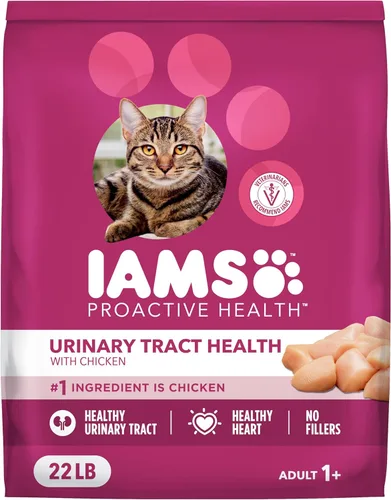 IAMS Proactive Health Alimento seco para gatos, salud del tracto urinario, comida para gatos adultos, receta seca con pollo, bolsa de 22 libras