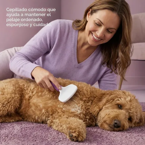 Miniatura 6 de Poodle Pet Slicker Brush – Para perros, gatos, conejos – Piel mate/suelta, nudos – Adecuado para garabatos/Goldendoodle aseo y trituración de pelo