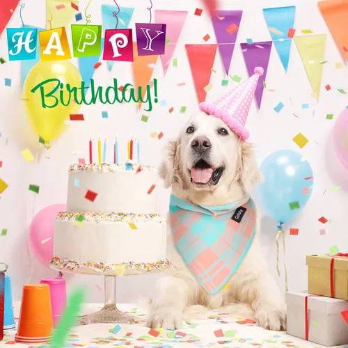 Miniatura 4 de Bandana de primavera para perro, bufanda grande para perro, color naranja, verde, estampado a cuadros, ajustable, accesorios para perros pequeños