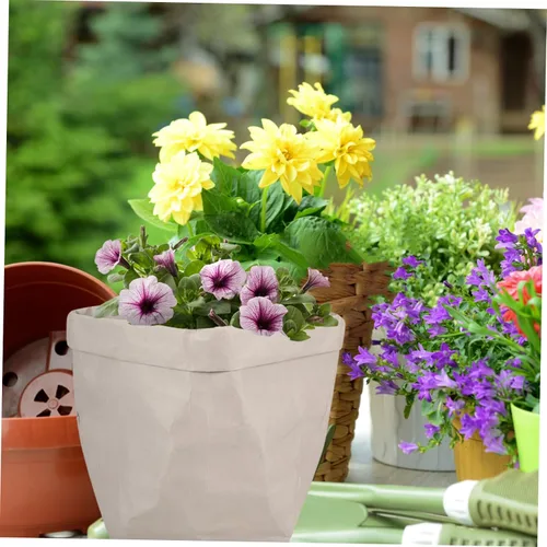 Miniatura 5 de Maceta de papel Kraft sostenible Bolsa de papel Kraft Caja de almacenamiento para helechos