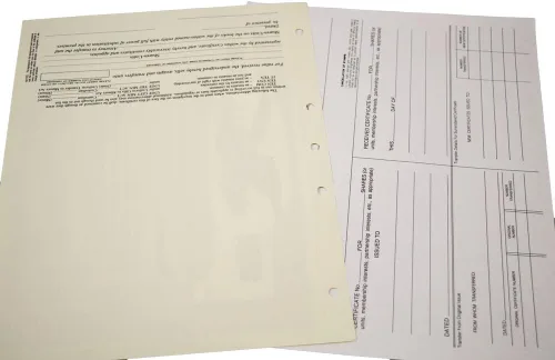 Miniatura 7 de Blumberg - Kit corporativo de belleza negra con actas y estatutos de PDF Corporation, carpeta de registros, sello corporativo, certificados impresos