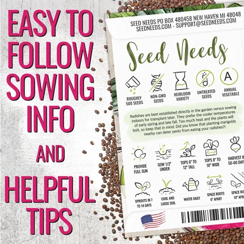 Miniatura 2 de Seed Needs Semillas de rábano para plantar rábanos sandía, reliquia sin OMG y sin tratar, cultiva un huerto cultivado en casa, cultivos para clima