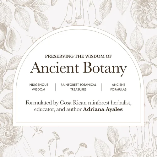 Miniatura 8 de Anima Mundi Apothecary Polvo de amor del vientre, suplemento para aliviar la hinchazón, ayuda digestiva y deshinchazón, suplemento en polvo