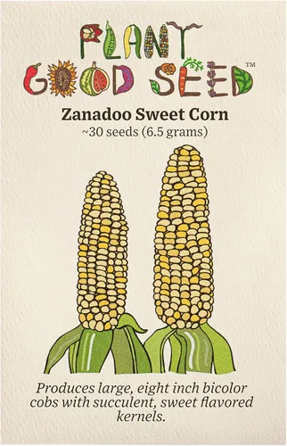 Plant Good Seed Semillas de maíz dulce Zanadoo orgánicas para plantar: Lupine Knoll Farm Original, granos bicolor amarillo y blanco - Paquete de 30