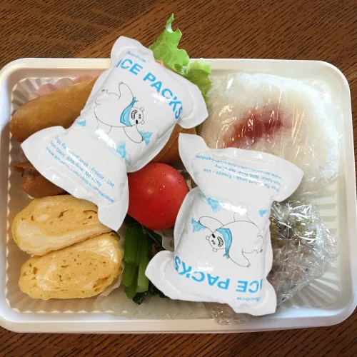 Miniatura 6 de RAINBOW Paquetes de hielo seco para envío de alimentos congelados, bolsas de hielo reutilizables para enfriadores y bolsas de almuerzo, paquetes