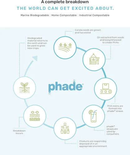 Miniatura 5 de phade Pajitas para beber jumbo ecológicas de 7.75 pulgadas, 3,750 unidades, biodegradables marinos, compostables, envueltas individualmente, paquete