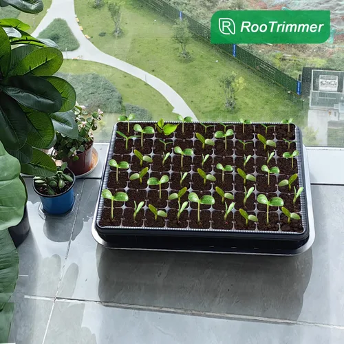 Miniatura 7 de RooTrimmer Bandejas de Semillero de 54 Celdas, Bandeja Plana de Alvéolos Profundos de 2.8", 10 Piezas Bandejas de Germinación de Agujeros Grandes