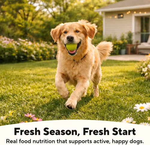 Miniatura 5 de Dave's Pet Food Stewlicious - Alimento húmedo para perros sin granos (pollo y verduras en salsa), fabricado en Estados Unidos naturalmente