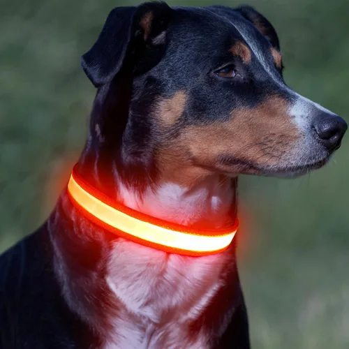 Miniatura 7 de Vizpet Collar LED para Perros, Collar para Perros con Luz Ajustable Recargable por USB Super Brillante Luz de Seguridad Collares Brillantes