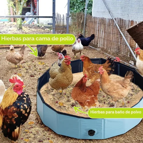 Miniatura 5 de 21 Oz Hierbas para nido de pollo premezcladas y flores secas, hierbas naturales para caja nido, almohadillas para nido de aves, cama para descanso