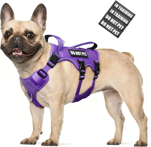 Miniatura 14 de WINSEE - Arnés para perro a prueba de fugas, arnés Molle de servicio y trabajo con doble asa, chaleco táctico para mascotas con 4 parches