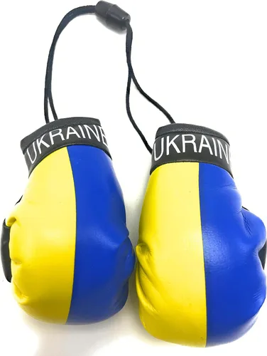 Miniatura 28 de Mini guantes de boxeo para colgar en el espejo del coche (Camerún)