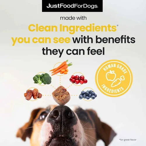 Miniatura 4 de JustFoodForDogs 10-en-1 Multifuncional y suplemento para cadera + articulaciones, masticables suaves para perros, a base de plantas, de grado humano