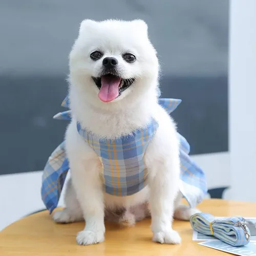 Miniatura 5 de PETCARE Vestido de Perro a Cuadros con Corbata de Moño y Arnés Correa para Perros Pequeños, Gatos, Niñas, Lindos Vestidos de Princesa para Perros