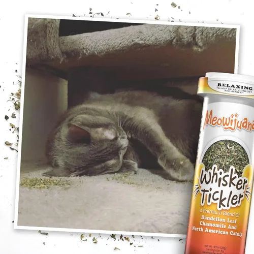 Miniatura 6 de Meowijuana Paquete de hierba gatera seca triturada prémium Purple Passion, Whisker Ticker, y Paw Natural Orgánica Alta potencia Juguetes