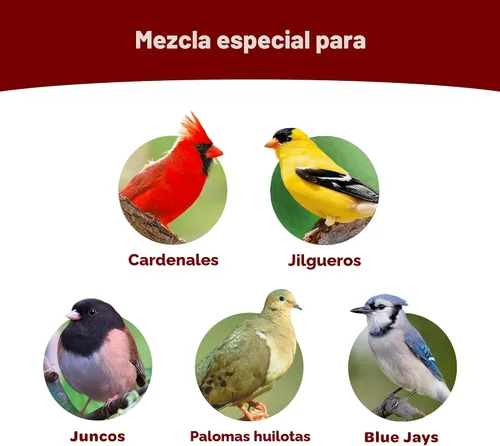 Miniatura 2 de Kaytee Cardinal Seed Cake, alimento para aves silvestres, 1.85 libras