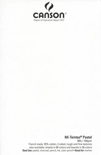Miniatura 4 de Canson Artist Series Mi-Teintes - Papel pastel, colores surtidos, bloc plegable, 9 x 12 pulgadas, 24 hojas (98 libras/160g) - Papel de artista