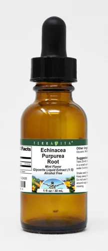 Terravita Extracto líquido de glicerita de raíz de Echinacea Purpurea (1:5), sabor a menta (1 oz, ZIN: 522426), paquete de 3