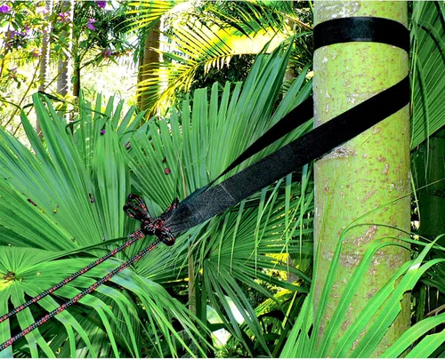 Miniatura 5 de Hammock Bliss Correas para árboles, cuelga cualquier hamaca con facilidad, instalación rápida, extra ancha, súper resistencia, increíblemente