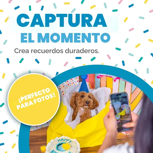 Miniatura 5 de Outward Hound Hide A Birthday Cake, rompecabezas de peluche con temática de cumpleaños para perros
