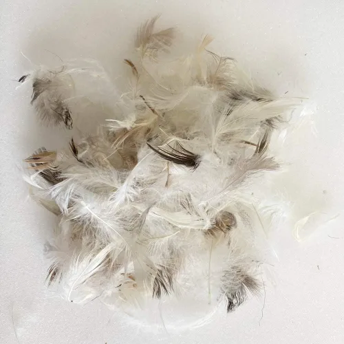 Miniatura 3 de Foamma Relleno de plumón de ganso de 20 x 20 pulgadas, comodidad premium, felpa suave de lujo, uso para sofá, cama, cojín, fabricado en Estados