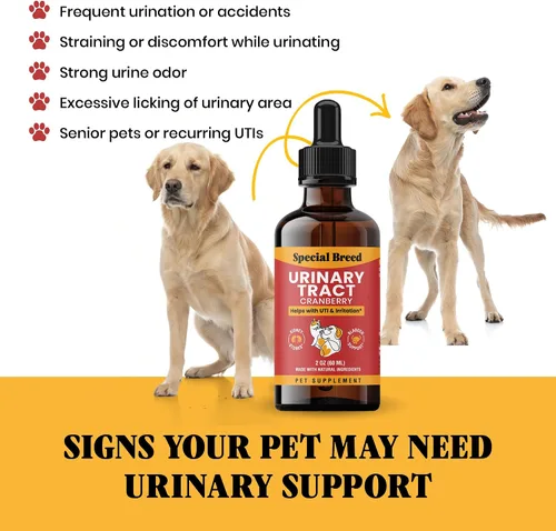 Miniatura 4 de Tratamiento de infección del tracto urinario para gatos y perros - Alivio natural de la infección urinaria con gotas de arándano - Soporte