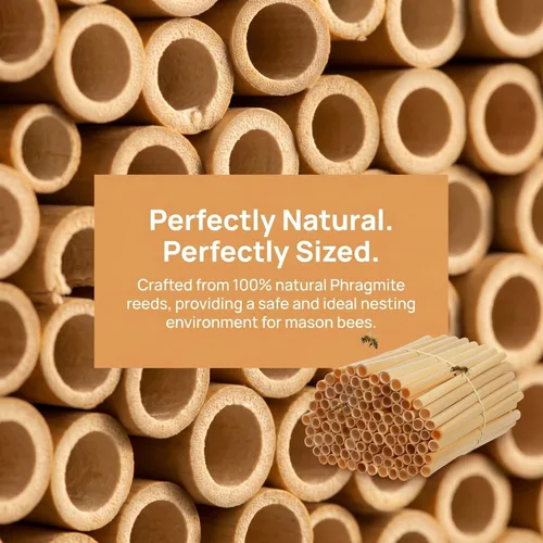 Miniatura 9 de GANAZONO 500 tubos de nido de abeja para nido de abeja, tubos de repuesto para casa de abejas, tubos de repuesto reemplazables para abejas, tubos