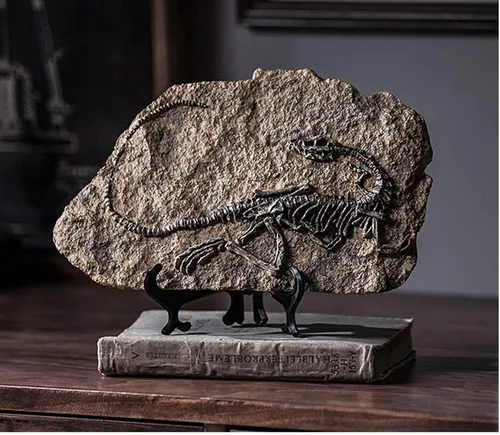 Miniatura 2 de XINDAM Modelo de estatua de fósil de dinosaurio de resina, esqueleto simulado para exhibición en hogar y oficina, caja decorativa de manualidades